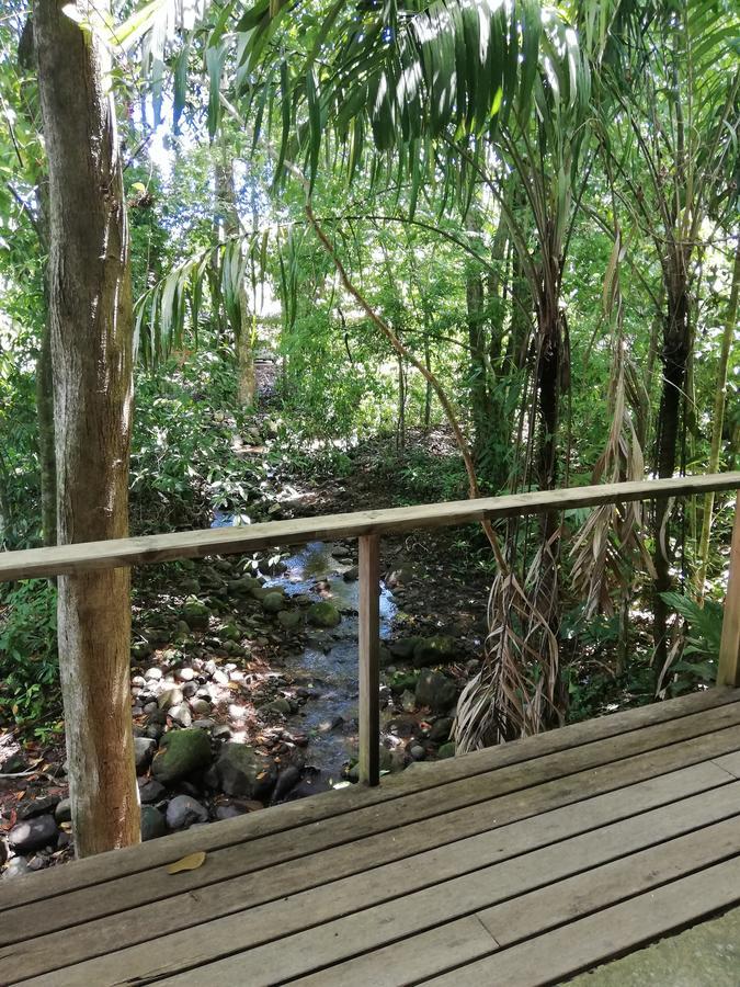 Hospedaje El Bosquecito Uvita Eksteriør bilde